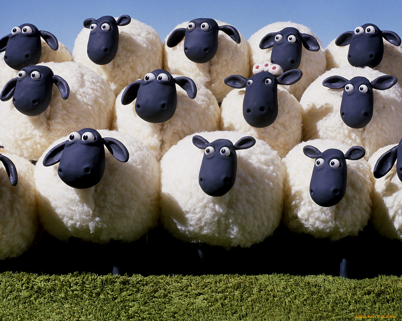 , shaun, the, sheep